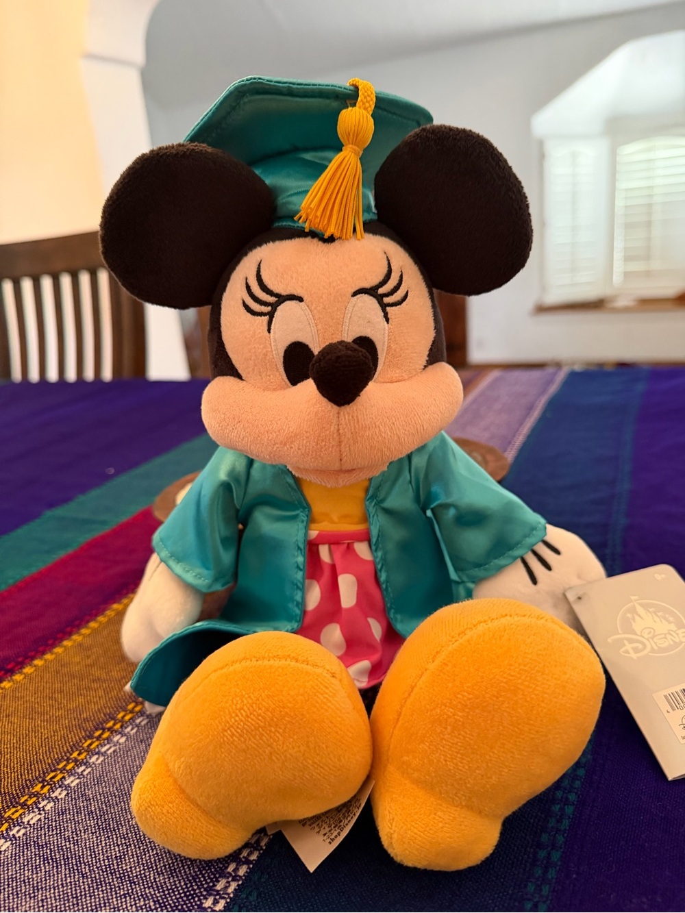 Disney Minnie Mouse Plush Graduation 2021